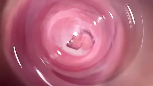 Kamera jauh di dalam vagina krim kecil Mia