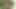 Hübsches schätzchen schluckt große ladung, nachdem sie BBC geritten hat