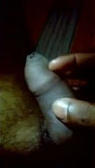sri lankan pennies