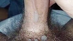 Jerking off my hairy cock