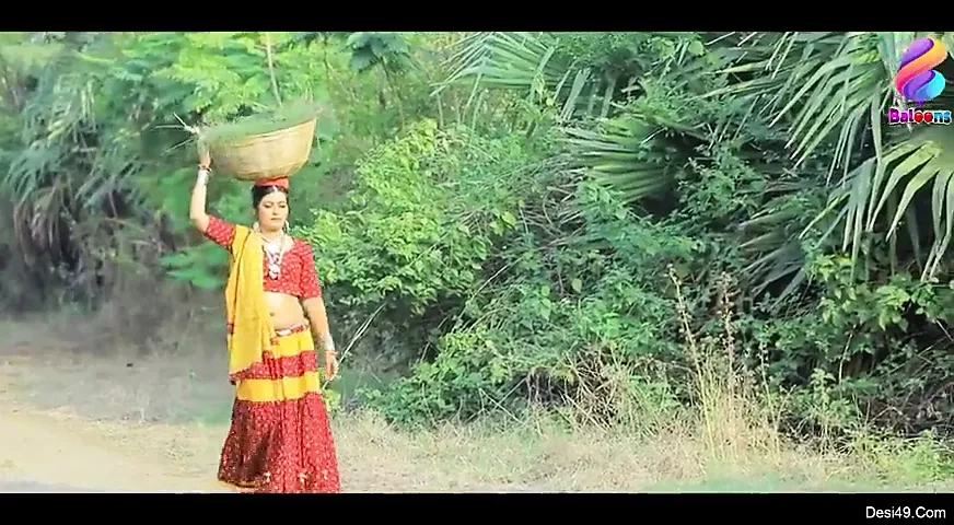 德西 Tadka 情节 2