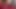 Veruca James and Penny Pax licking each other