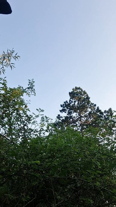 Masturberen in het bos ...