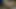 Çok güzel alix lynx büyük bir yaraktan döl emiyor