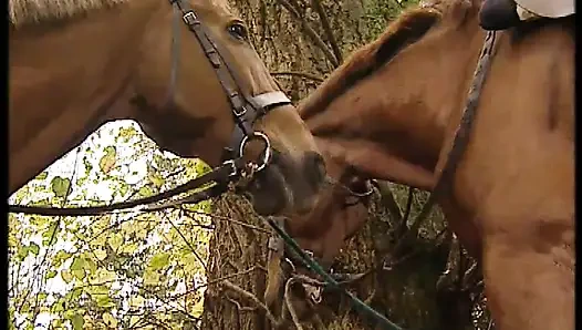 Договор позора