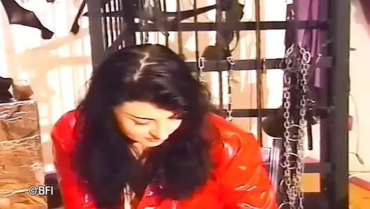 Tagebuch einer domina 1