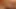 Cum Fly Compilation