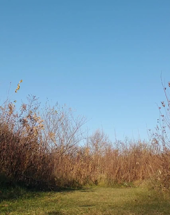 Enjoying a naked run in the park