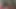 راهبة سمينة وجائعة جدا للزب