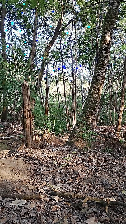 Jerk off in nature