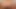 Megan Reece nimmt es mit Shorty auf