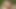 かわいいふしだらな女は良いディックを吸うのが大好き