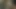 klasik dörtlü