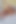 クイックのためのサプライズフラワー - Clubsweethearts