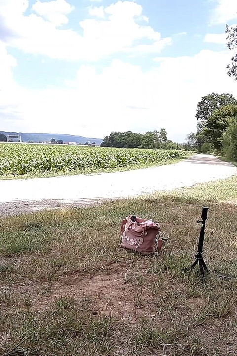 サマーセッション パート1