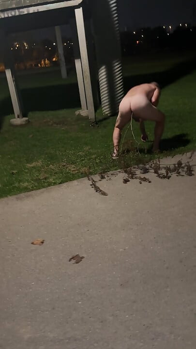 Slutty Mitchibitionist at the park