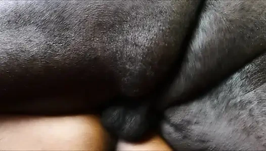 Knock Knock the Champ Is Here