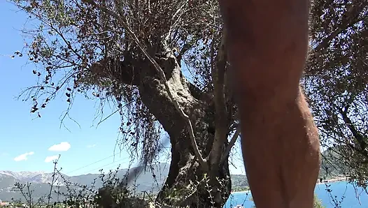 Abenteuer Im Dschungelparadies