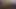 Two big black cocks cumming together