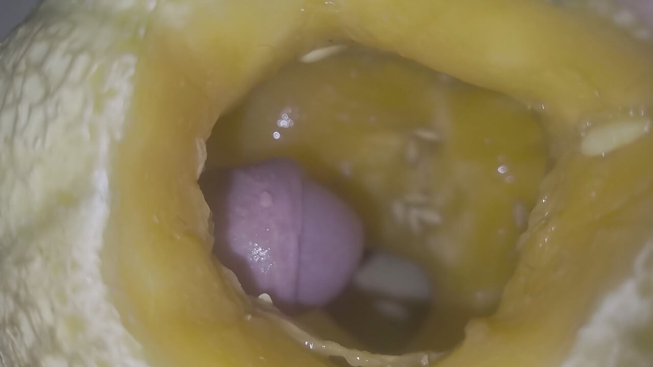 Melon fuck
