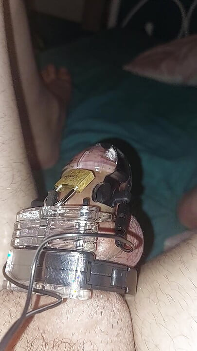 Estim Chastity
