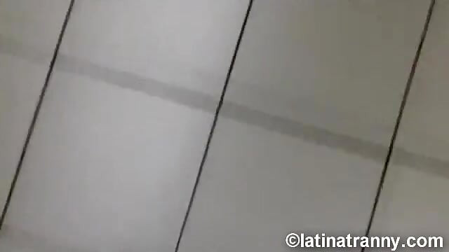 ニッキー・モンテロのトランスジェンダーポルノスターの女性トイレでトイレにおしっこをかけて、ふざけている
