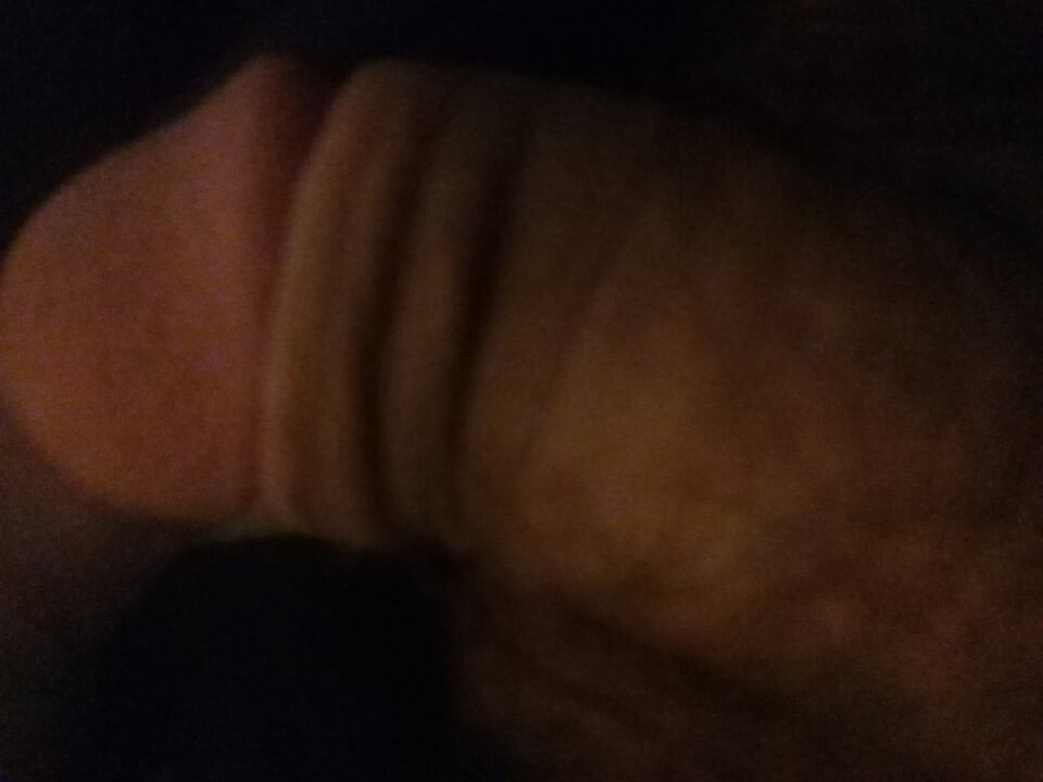 大讨厌的蟑螂公鸡