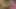 Tamil Clear Audio Bed Room Sex With Moaning and Vibrator Part 1