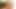 MILDFICOUS sex gameplay game of sex with the hot and sexy girls part1