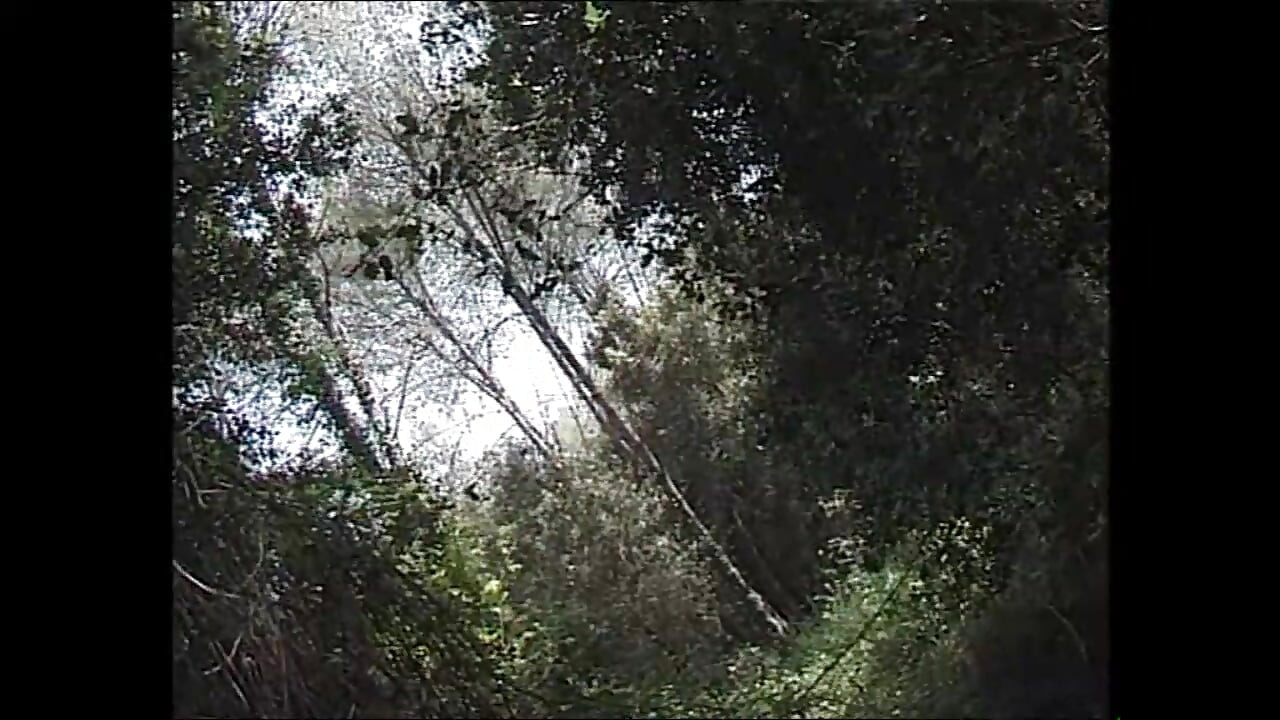 Nacho Fucks Them All