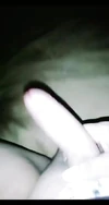 Video pregled