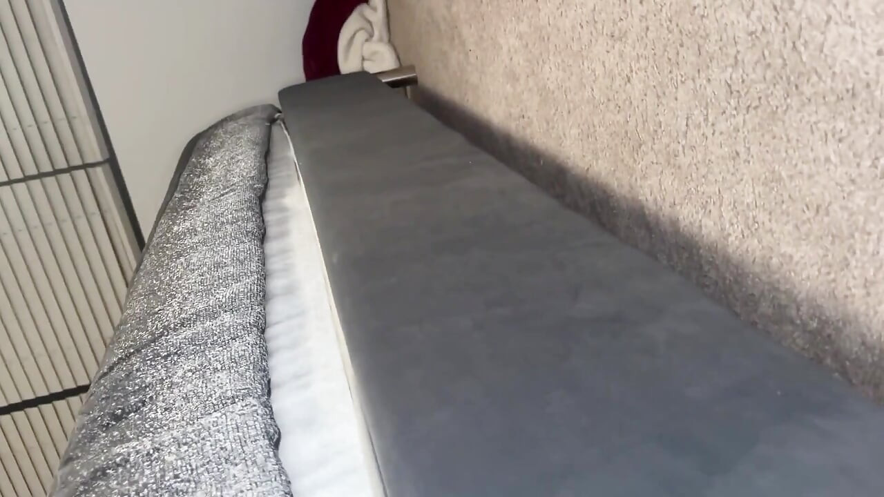 乱れたフェラチオの後にフェイシャル