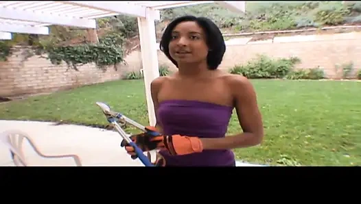 The Improvised Giardiniera