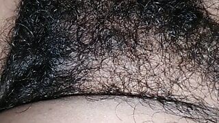 斯里兰卡妻子的毛茸茸的阴户
