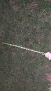 Pratinjau video