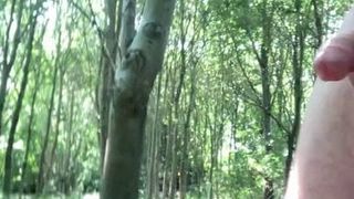 Masturbandose en el bosque