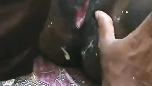 Die großen muschi-eis-performance-videos meiner ehefrau