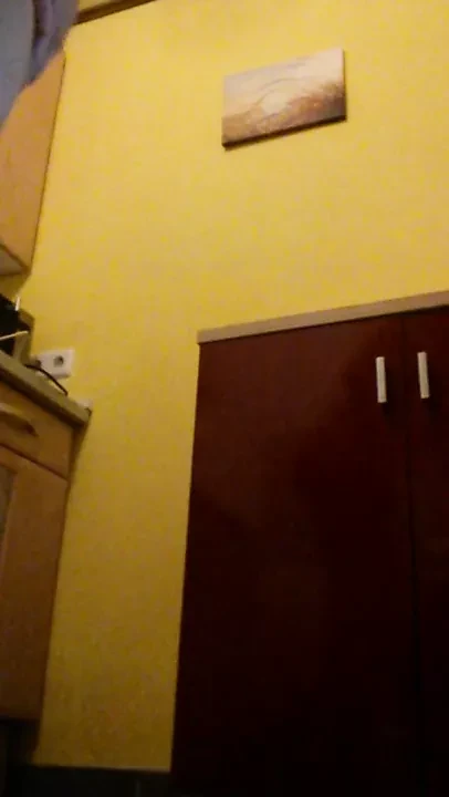 Horses dildo anal fuck