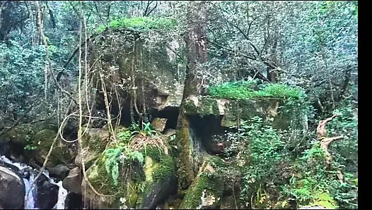 Memek tante seksi ini dijilat dan dientot habis-habisan di pinggir sungai