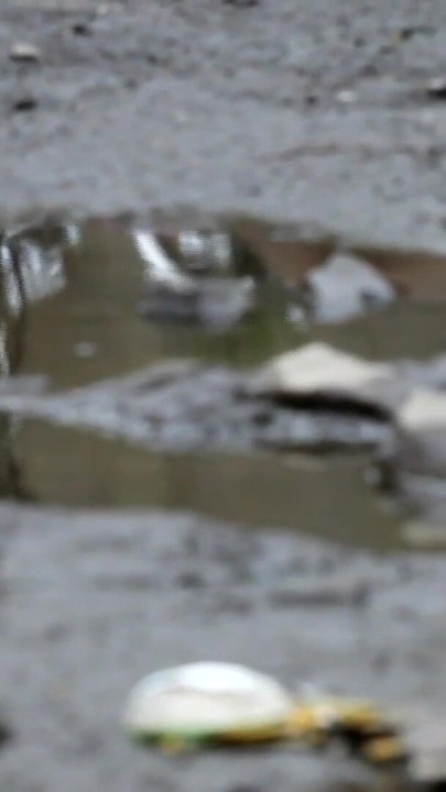 Camgirl va en una sesión de fotos con y lo muestra en EroticOnly | Clip 2