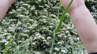 Vikkisponge openbare bevochtiging in Warwickshire