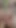 Big dildo up my big fat Arse – Bbw