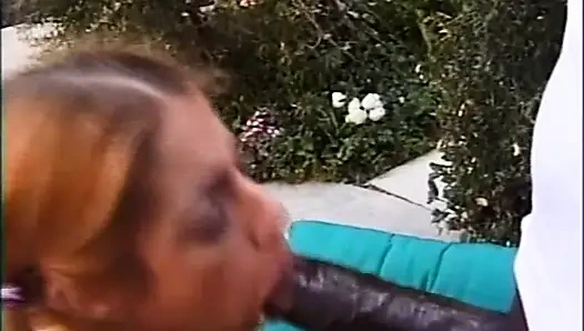 Die Ist Sehr Provokativ