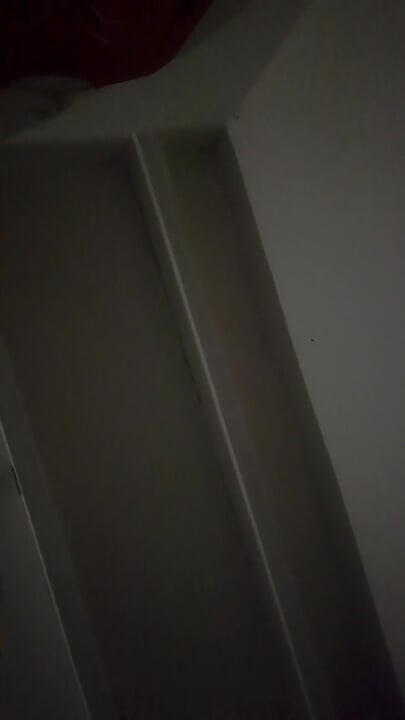 Căutarea. Vai, nimic! ##