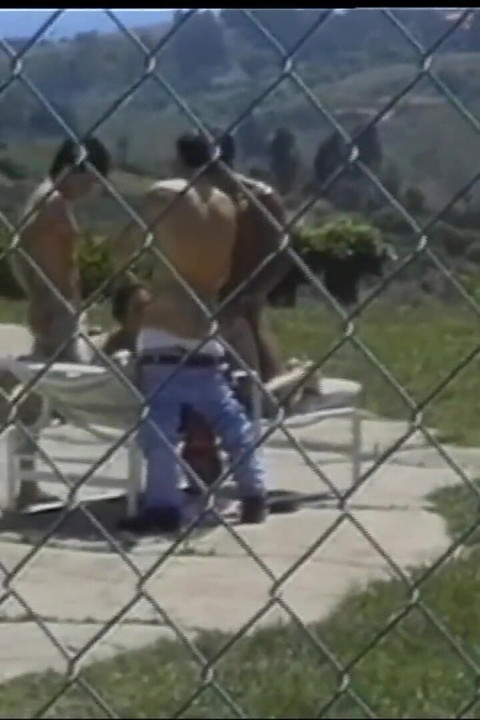 Lesbiche Piace Anche Il Cazzo Grosso