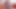 禁断のニューハーフセックス360