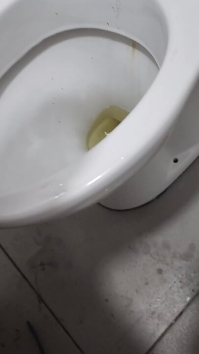 Public toilet slavery