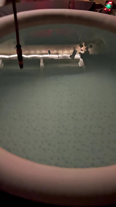 Public Risk: Masturbating in My Neighbor’s Pool Until I Explode