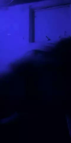Lilbooof video