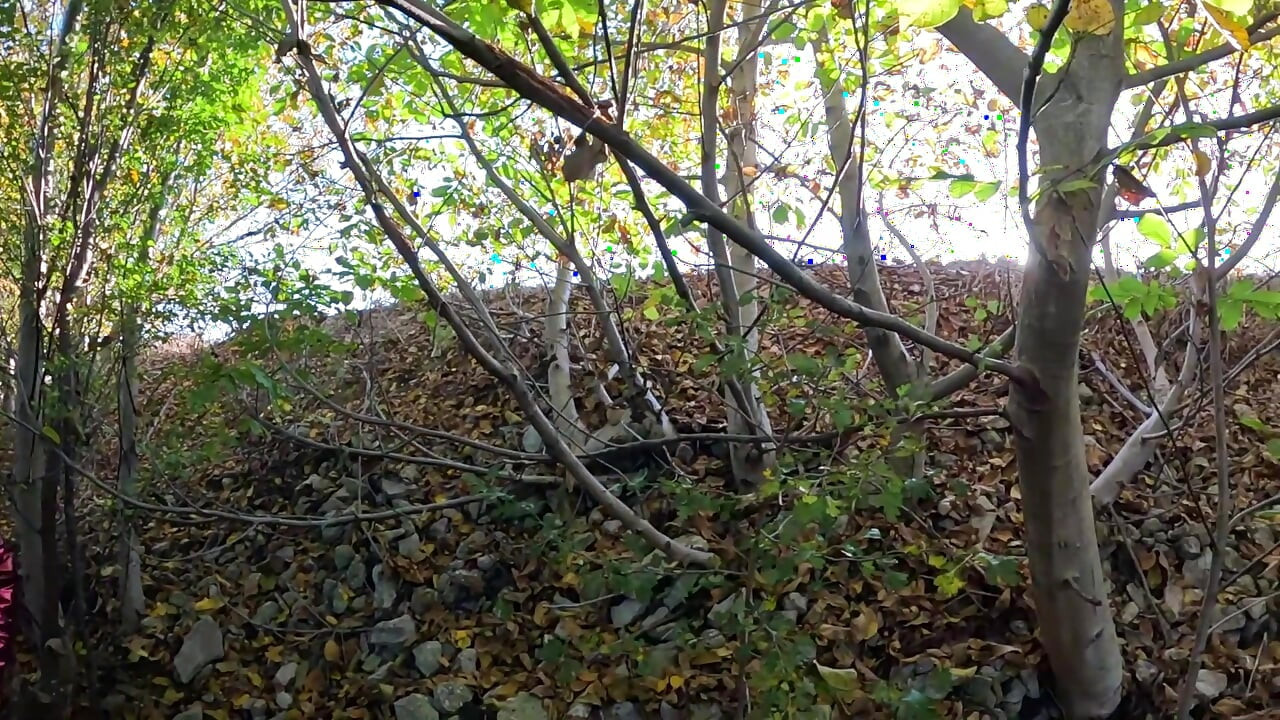 Un rischioso pompino all'aperto sul lago red shiny downjacket fetish 316